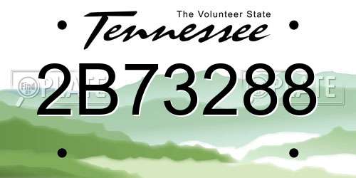 2B73288 Tennessee License Plate