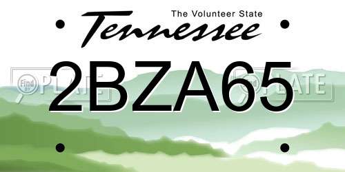 2BZA65 Tennessee License Plate