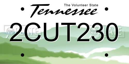 2CUT230 Tennessee License Plate