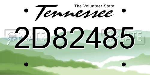 2D82485 Tennessee License Plate