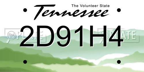 2D91H4 Tennessee License Plate