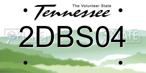 2DBS04 Tennessee License Plate