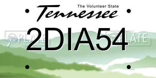 2DIA54 Tennessee License Plate