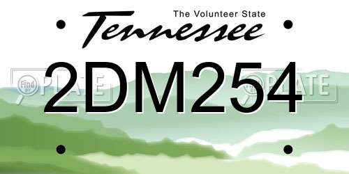 2DM254 Tennessee License Plate
