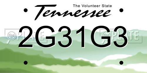 2G31G3 Tennessee License Plate