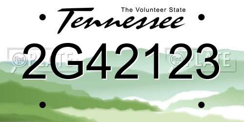 2G42123 Tennessee License Plate