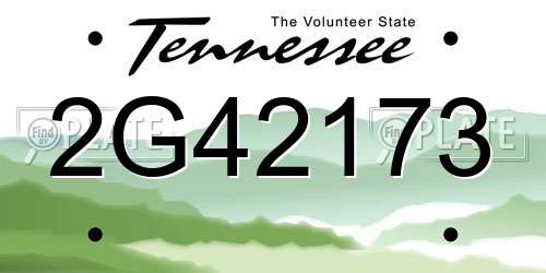 2G42173 Tennessee License Plate