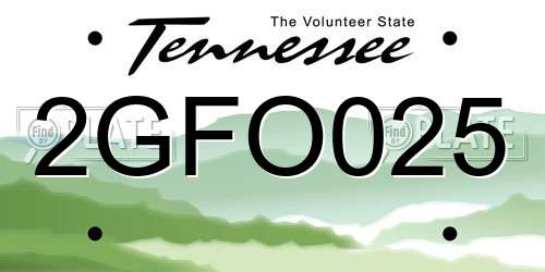 2GFO025 Tennessee License Plate