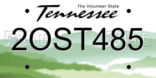 2OST485 Tennessee License Plate
