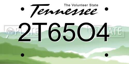 2T65O4 Tennessee License Plate