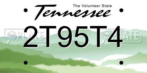 2T95T4 Tennessee License Plate