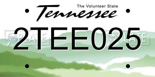 2TEE025 Tennessee License Plate