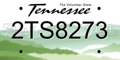 2TS8273 Tennessee License Plate