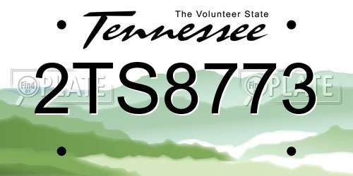 2TS8773 Tennessee License Plate