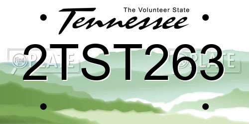 2TST263 Tennessee License Plate