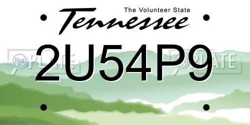 2U54P9 Tennessee License Plate