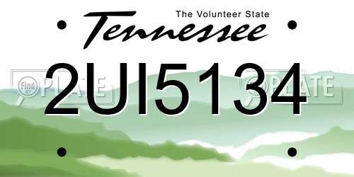 2UI5134 Tennessee License Plate