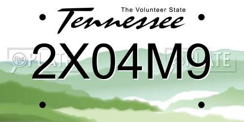 2X04M9 Tennessee License Plate