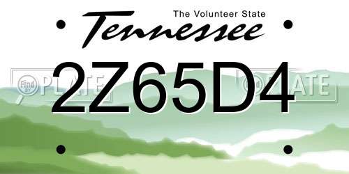 2Z65D4 Tennessee License Plate