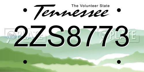 2ZS8773 Tennessee License Plate