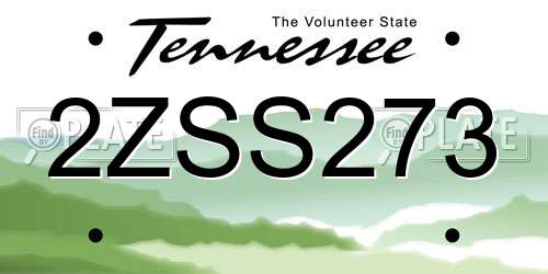 2ZSS273 Tennessee License Plate