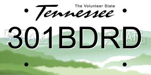 301BDRD Tennessee License Plate