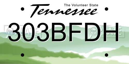303BFDH Tennessee License Plate