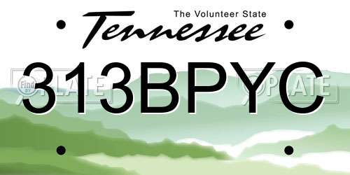 313BPYC Tennessee License Plate