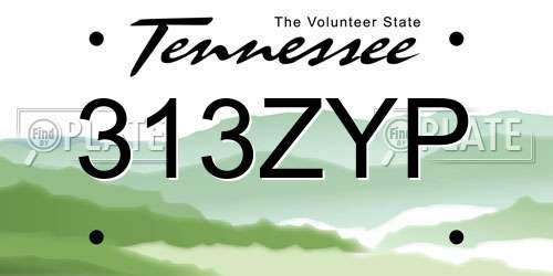 313ZYP Tennessee License Plate