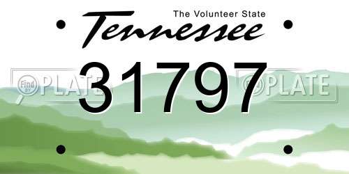31797 Tennessee License Plate