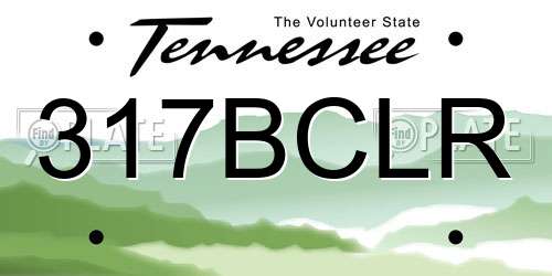 317BCLR Tennessee License Plate