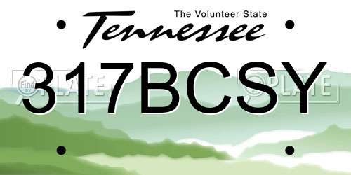 317BCSY Tennessee License Plate