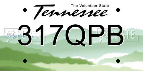 317QPB Tennessee License Plate