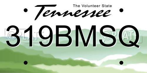 319BMSQ Tennessee License Plate