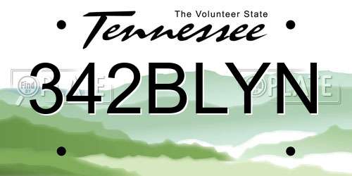 342BLYN Tennessee License Plate