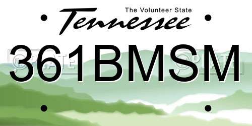 361BMSM Tennessee License Plate