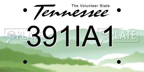 391IA1 Tennessee License Plate