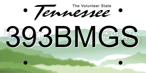 393BMGS Tennessee License Plate