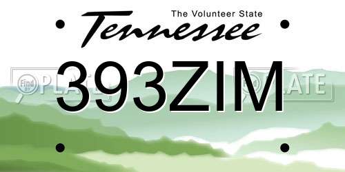 393ZIM Tennessee License Plate