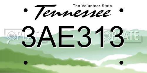 3AE313 Tennessee License Plate