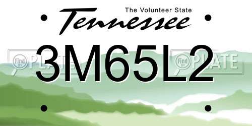 3M65L2 Tennessee License Plate