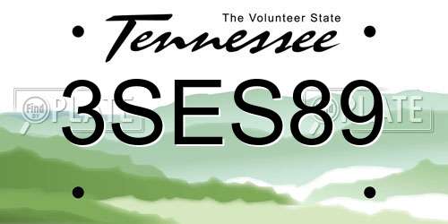 3SES89 Tennessee License Plate