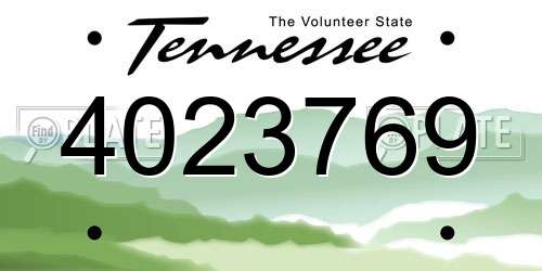 4023769 Tennessee License Plate
