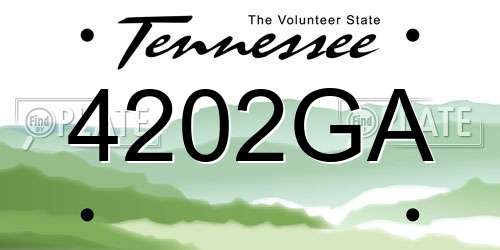 4202GA Tennessee License Plate