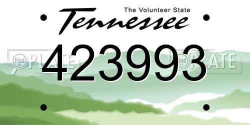 423993 Tennessee License Plate