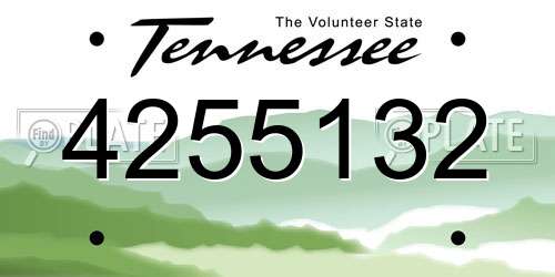 4255132 Tennessee License Plate