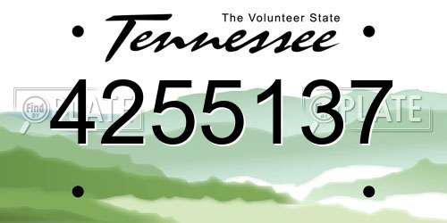 4255137 Tennessee License Plate