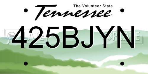 425BJYN Tennessee License Plate