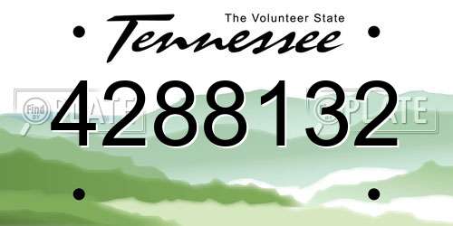 4288132 Tennessee License Plate