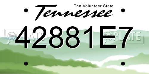 42881E7 Tennessee License Plate